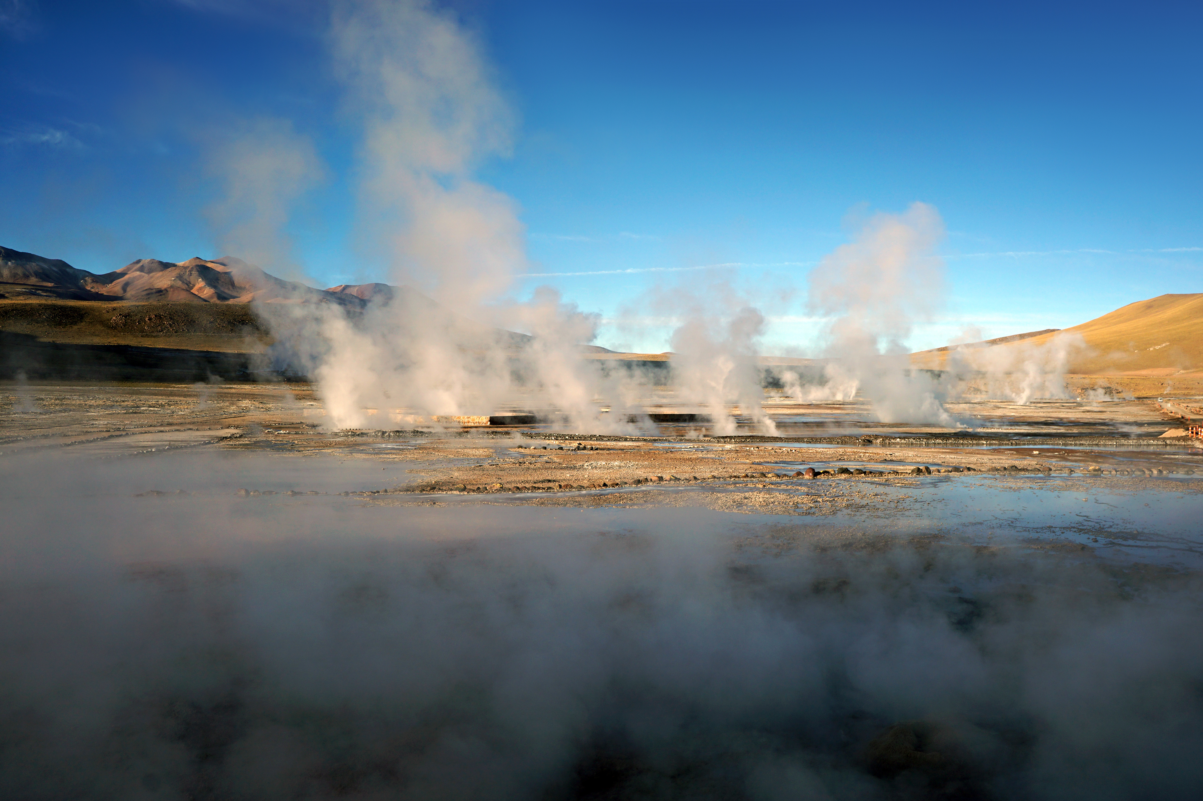 AdobeStock_1108843510