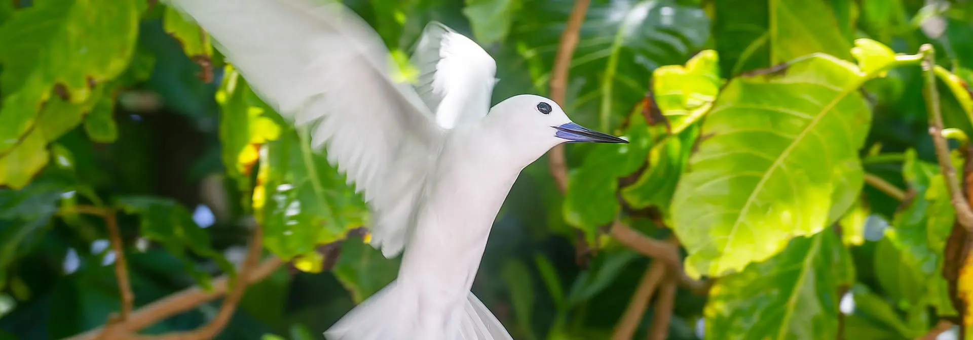 AdobeStock_596326633 (1)