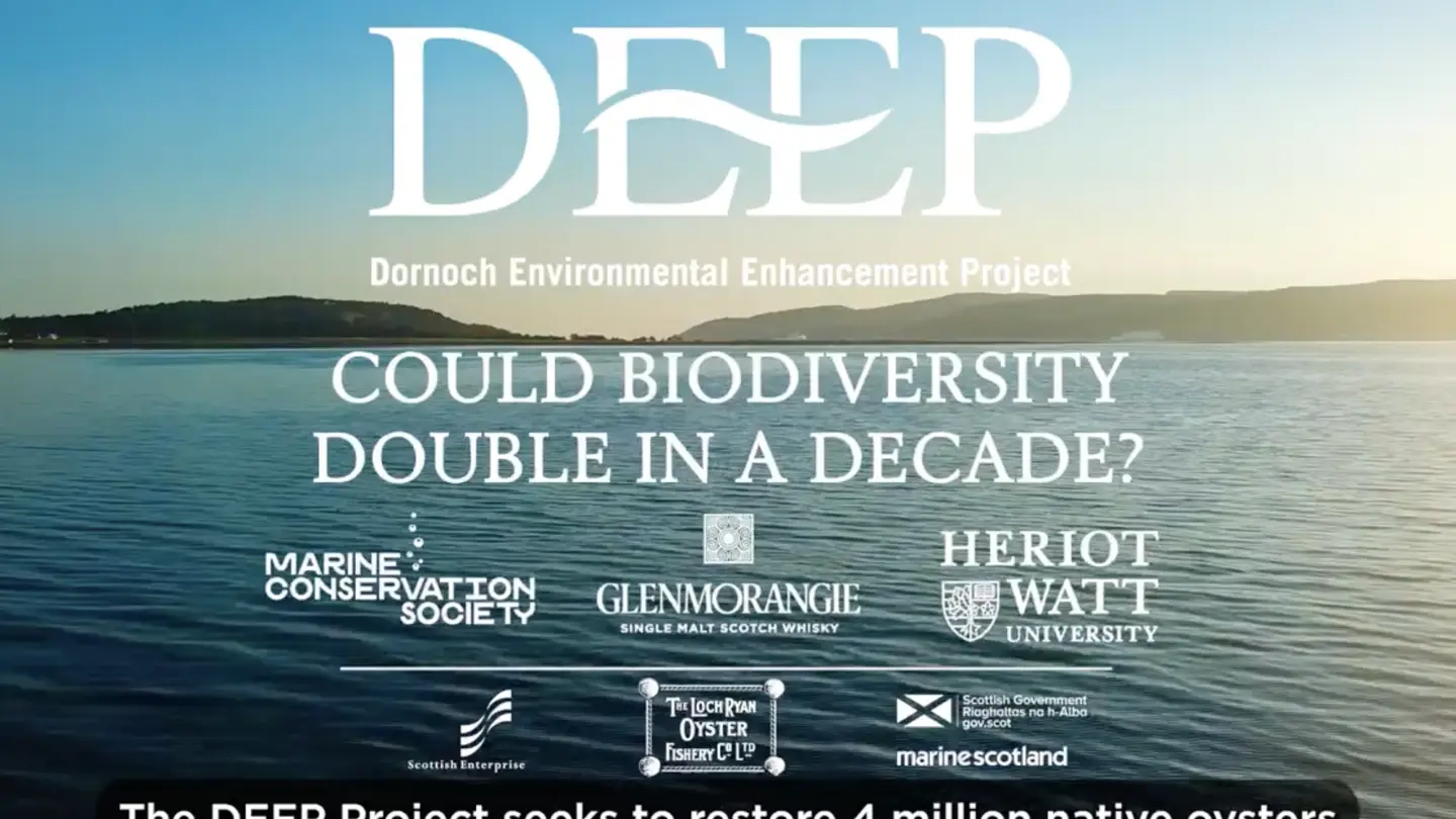 A Project overview of the DEEP - Dornoch Environmental Enhancemenrt Project