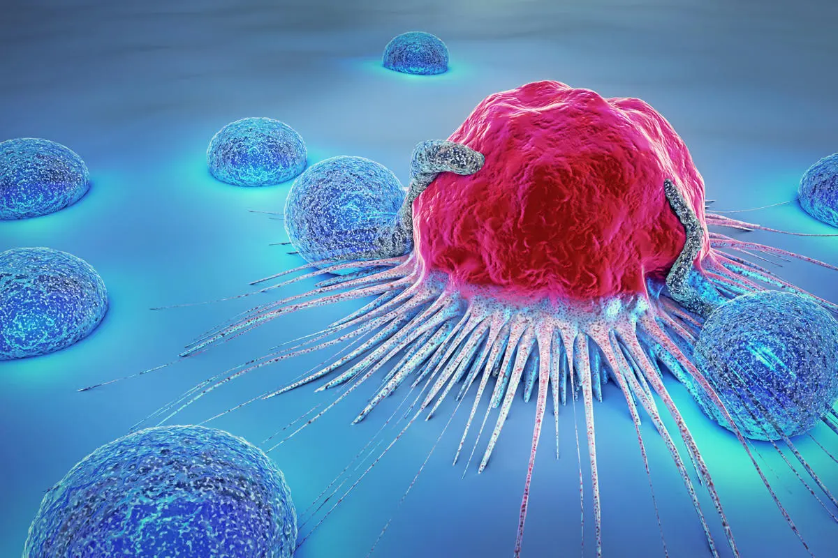 Engineering the fight against cancer