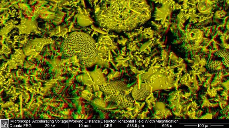 Diatomaceous Earth, comprising many diatoms. Highly porous Diatomaceous Earth, comprising many diatoms. Highly porous