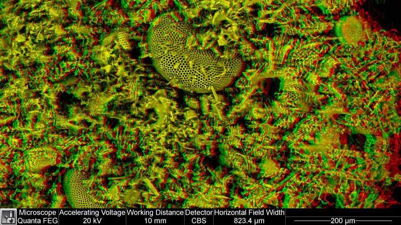 Diatomaceous Earth, comprising many diatoms. Highly porous Diatomaceous Earth, comprising many diatoms. Highly porous