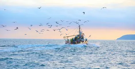 Fisheries 1920px