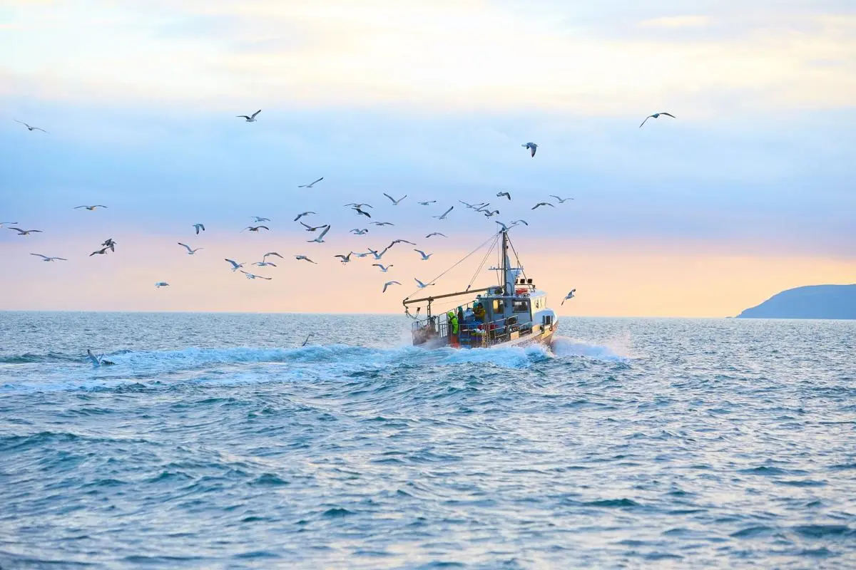 Fisheries 1920px