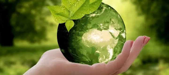 Hand holding a globe, styled like an apple