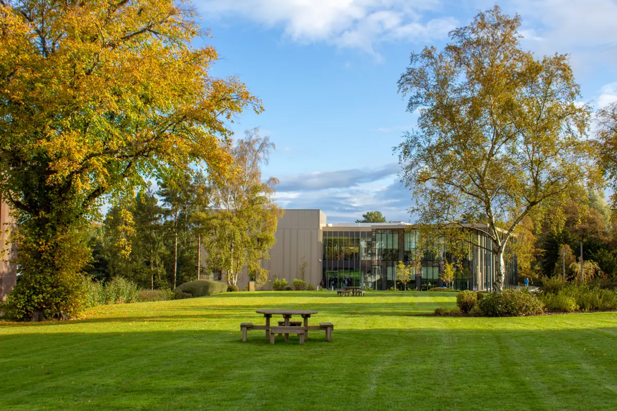 grid-and-lawn-banner