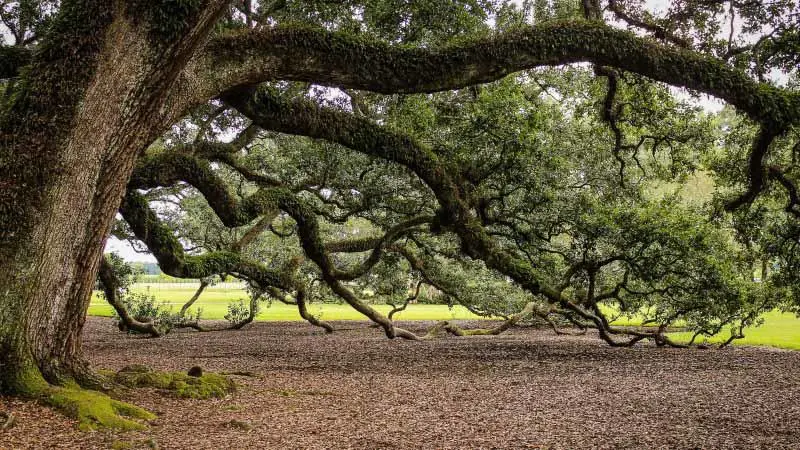 Leave_a_Legacy_800x450