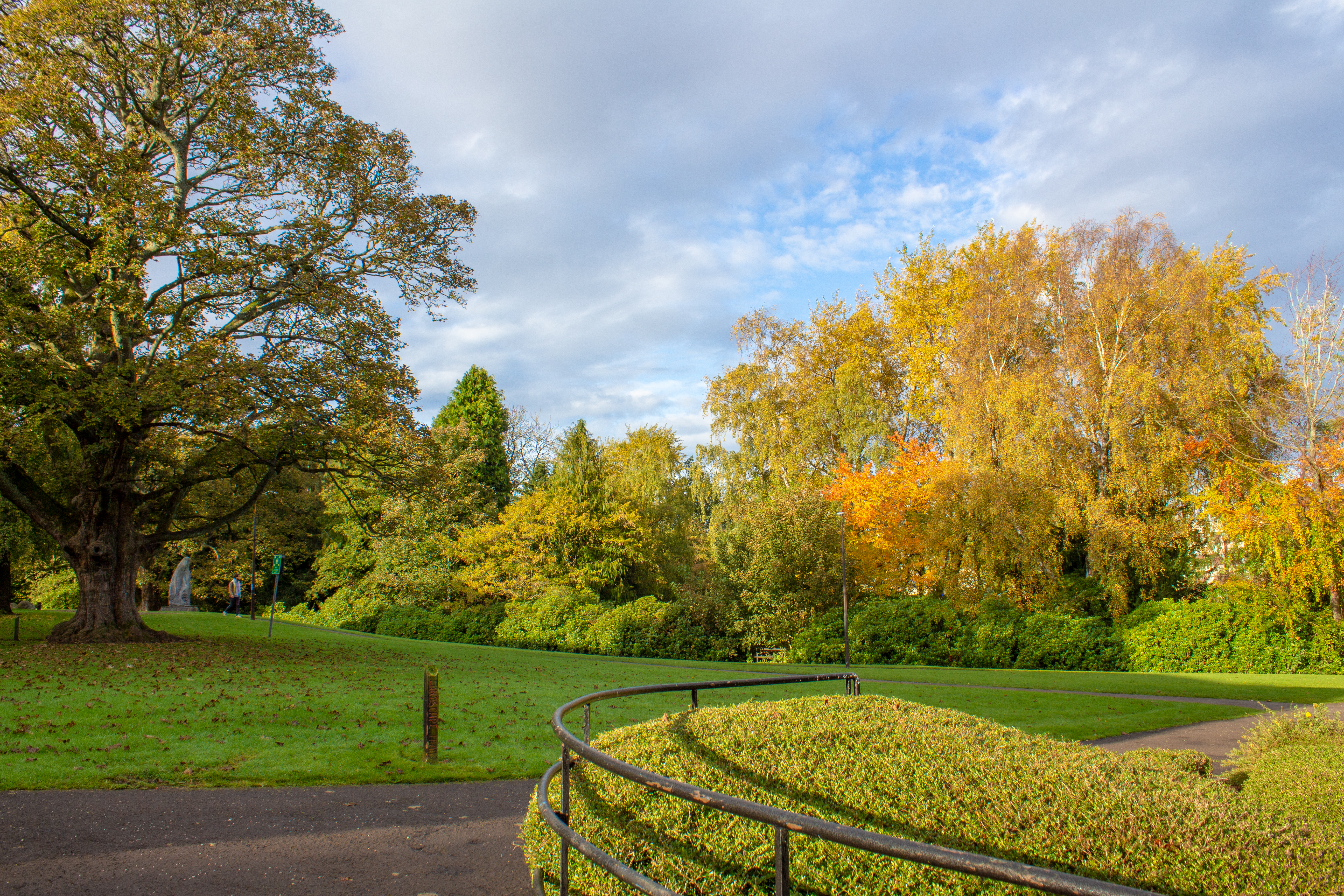 Picture of nature and scenery on Edinburgh campus.