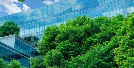 Net Zero
