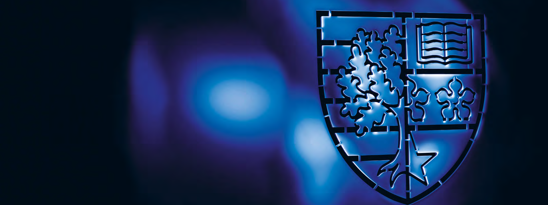 Shield