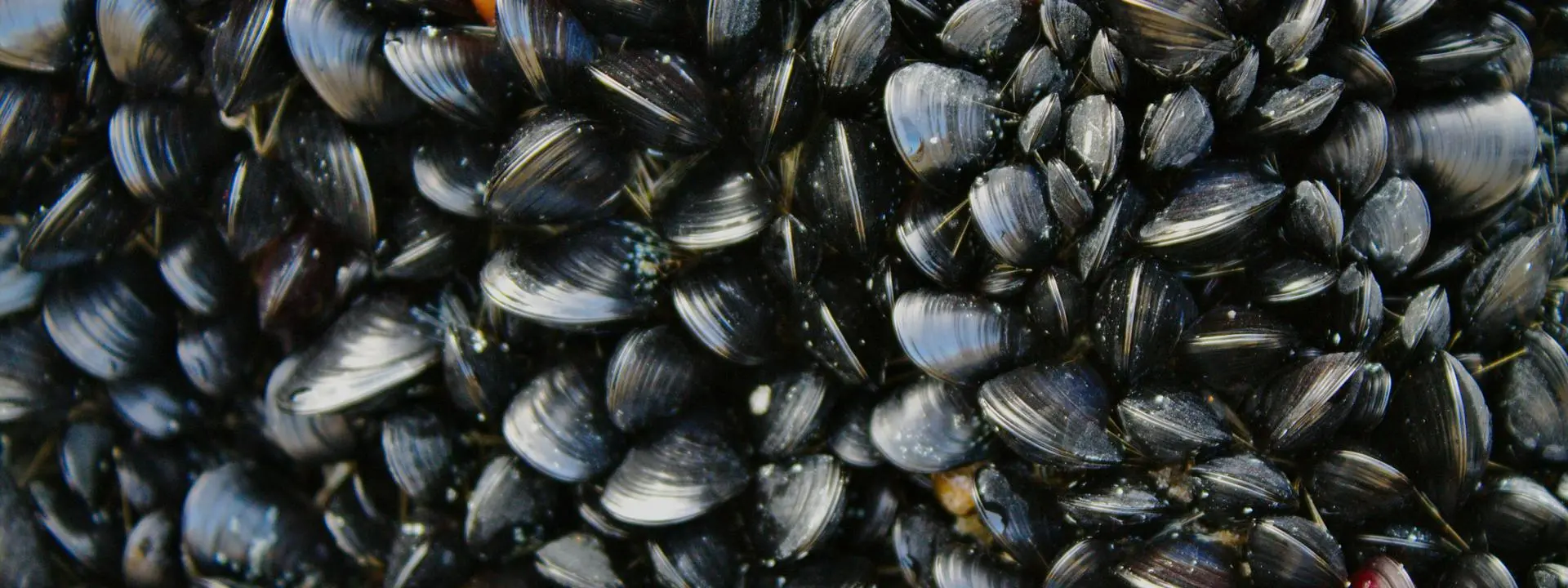 Credit: Andy Castille