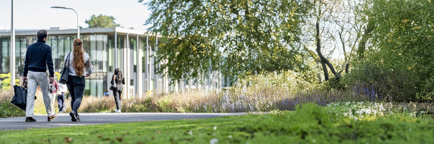 Students walking a path bordered by trees, with the GRID building visible in the background.