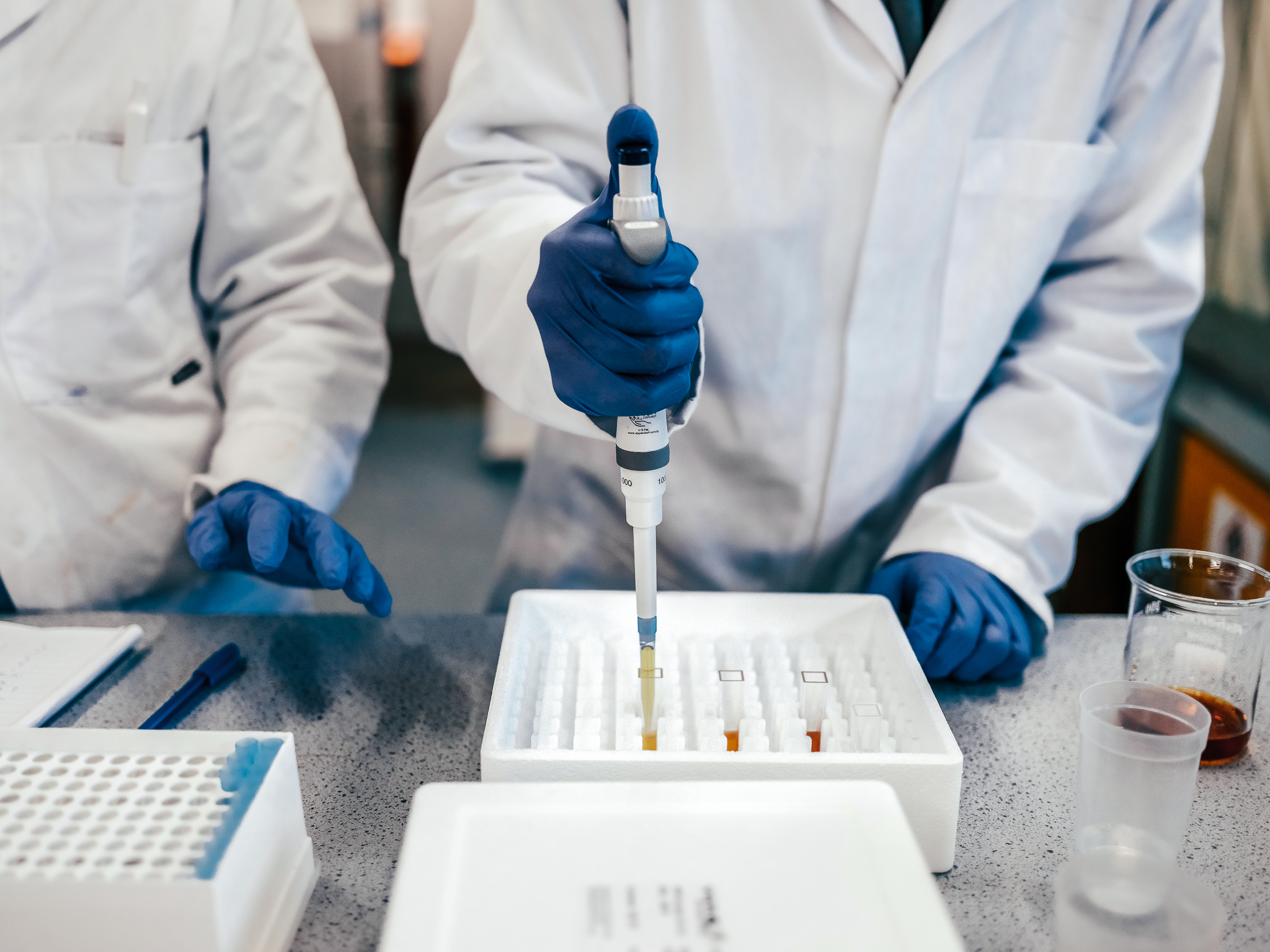 Students testing chemicals