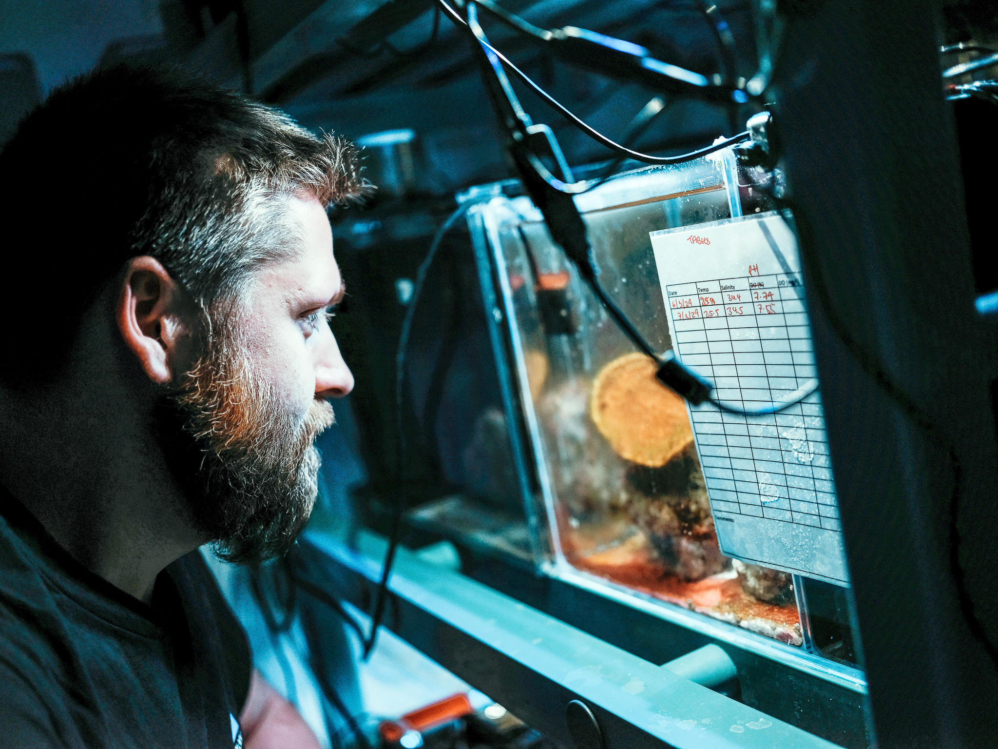 Student looking at tank with marine animals