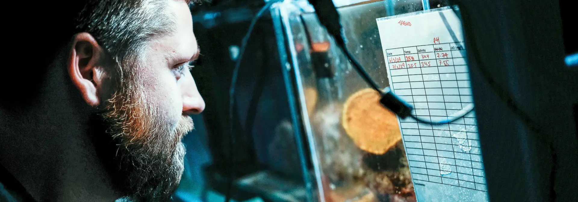 Student looking at tank with marine animals