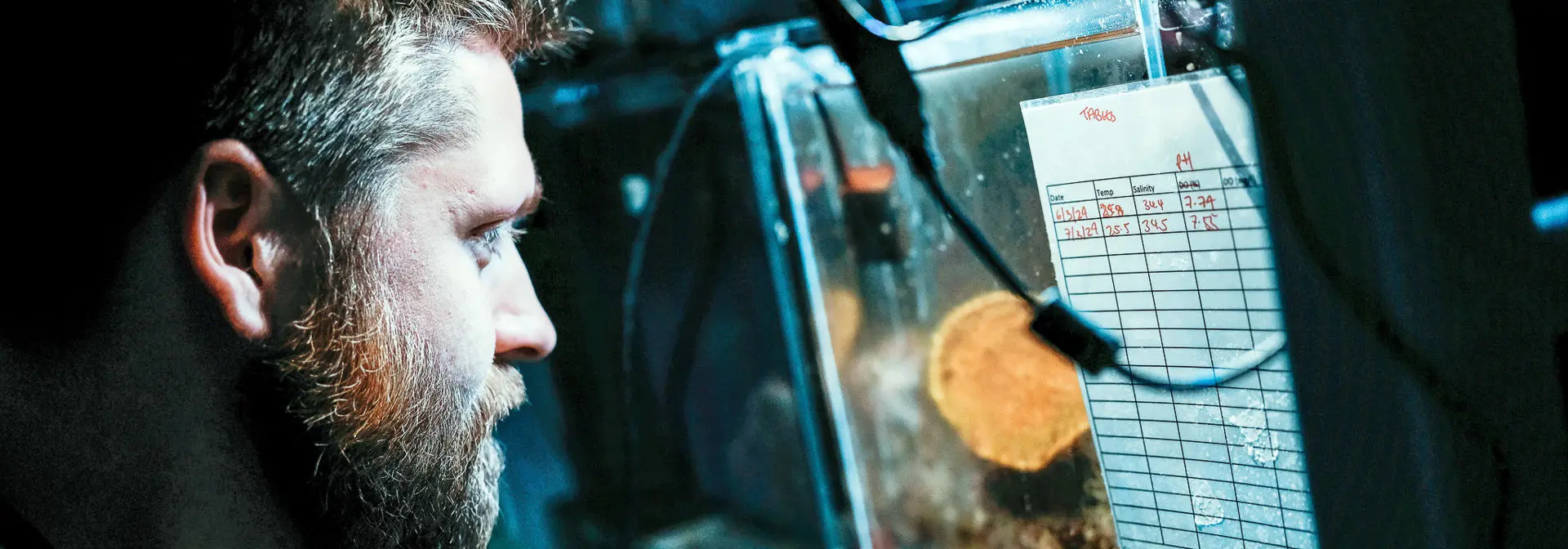 Student looking at a specimen