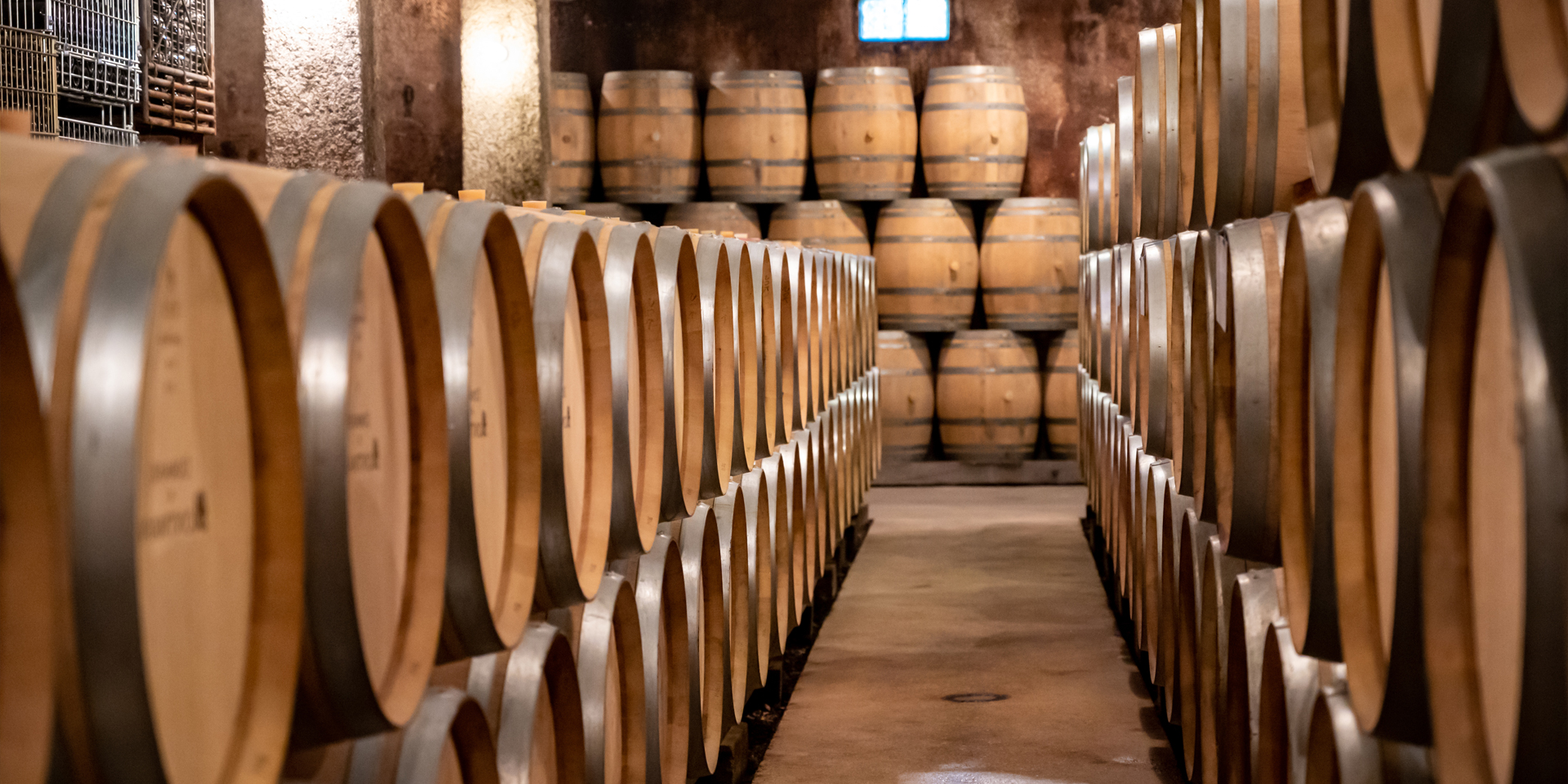 Rows of wooden barrels lined up in a dimly lit cellar, likely used for aging wine or spirits.