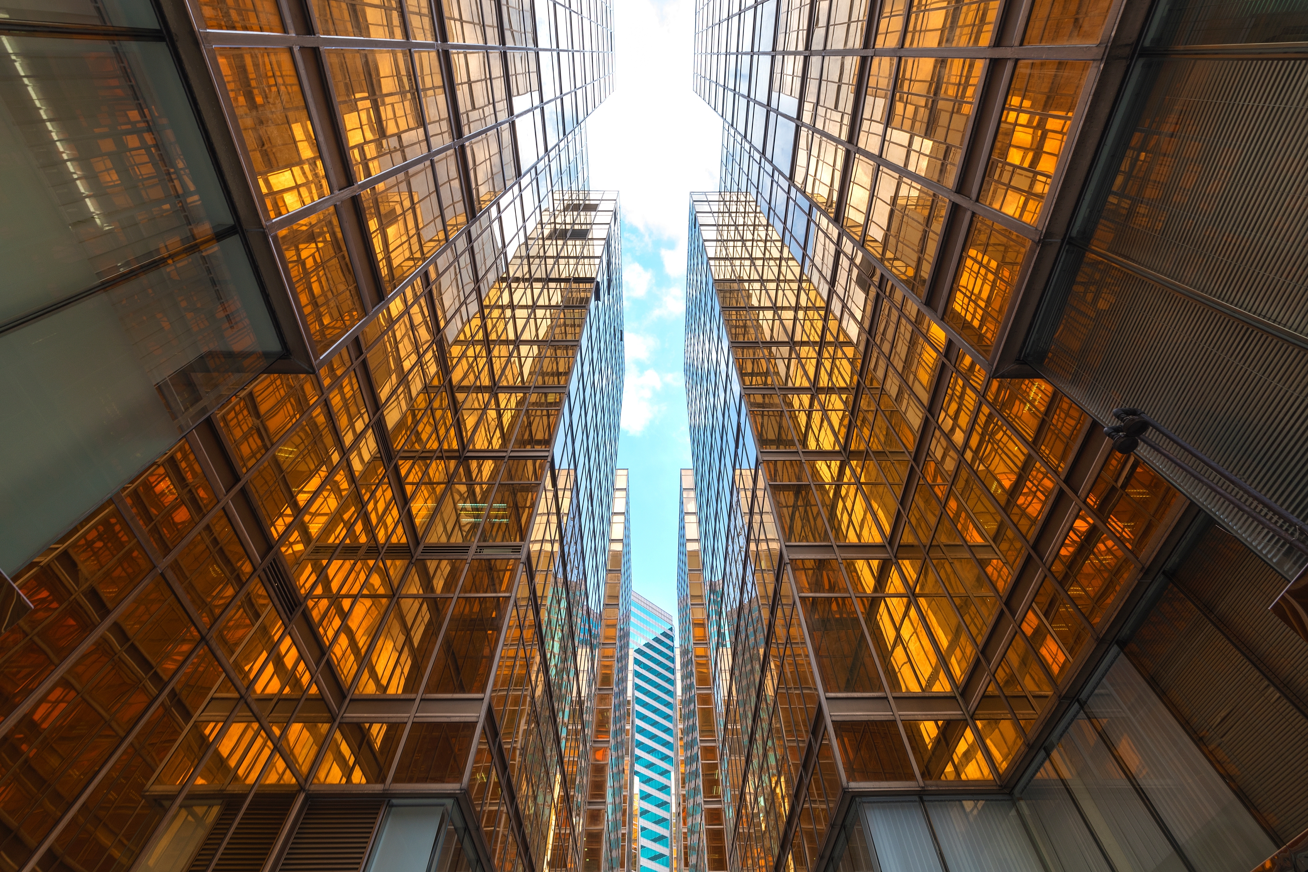 Low angle of glass buildings