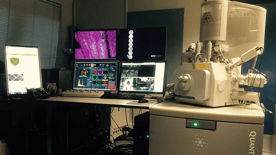 Quanta FEG 650 SEM suite Quanta FEG 650 SEM suite