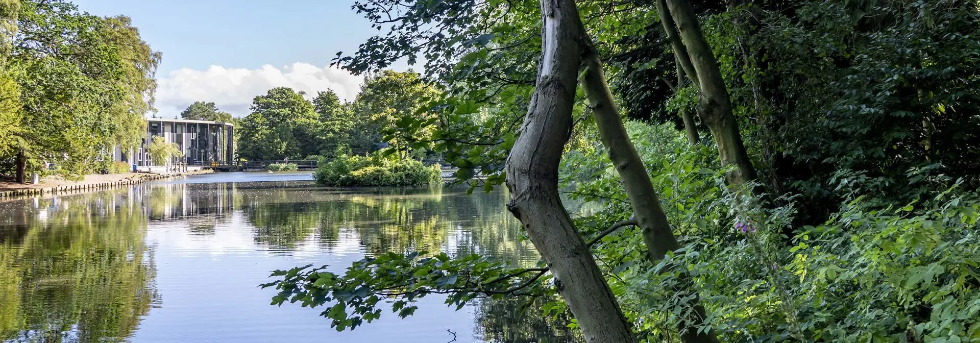 green loch