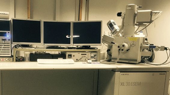 XL30 ESEM suite XL30 ESEM suite
